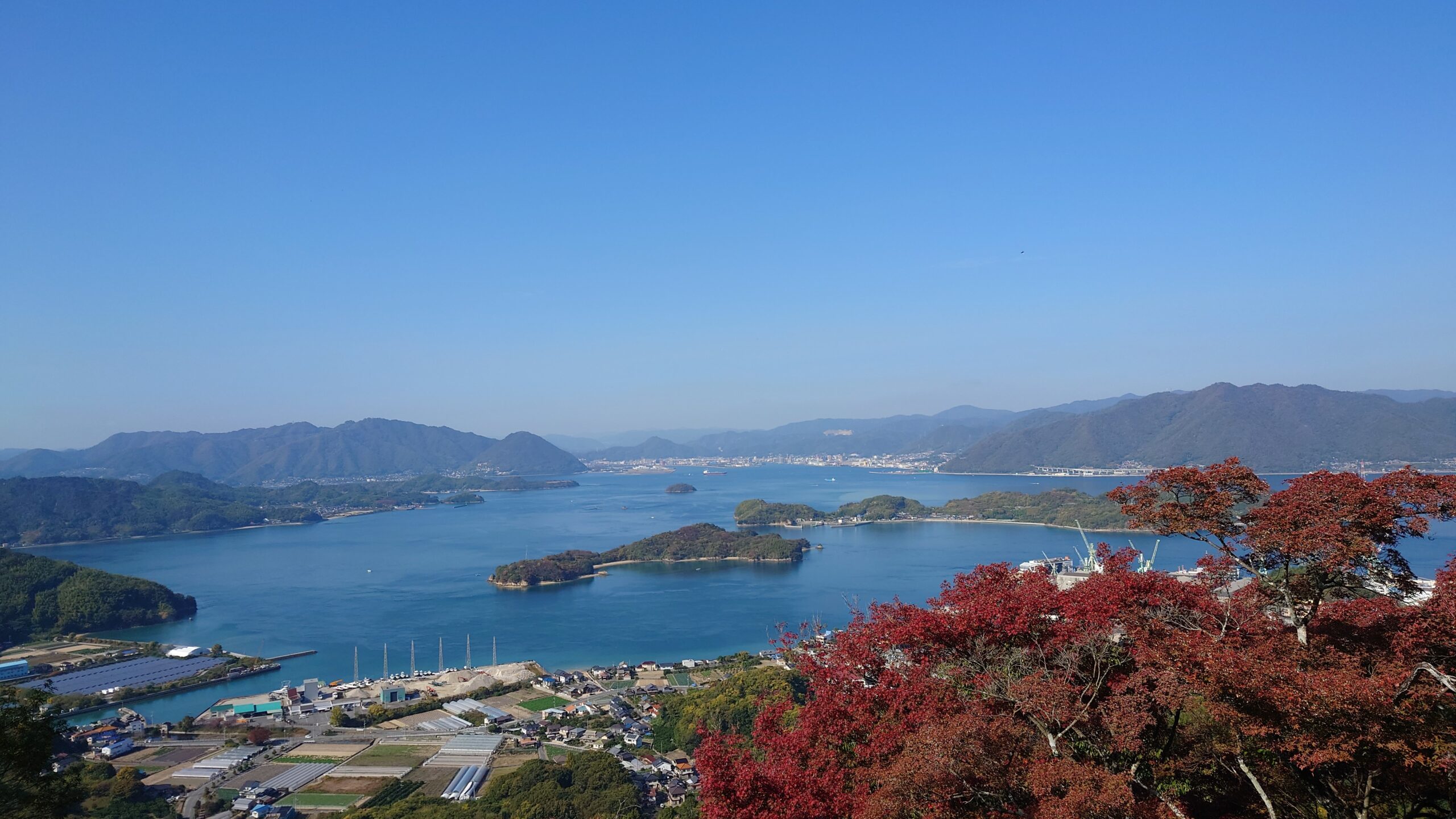 プロフィール背景画像