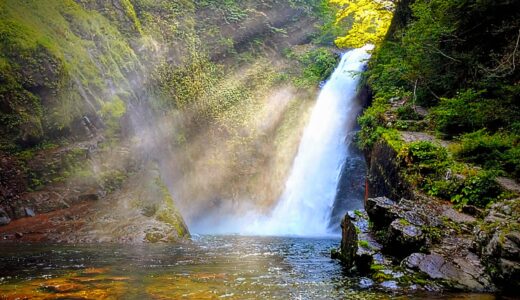 下のソーシャルリンクからフォロー