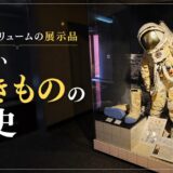 人類2000年のあしあとに溺れる。福山『松永はきもの資料館』で知る、足元と人間のディープな関係